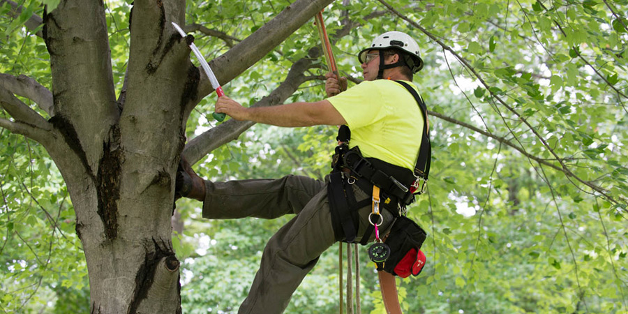 outdoor enthusiasts