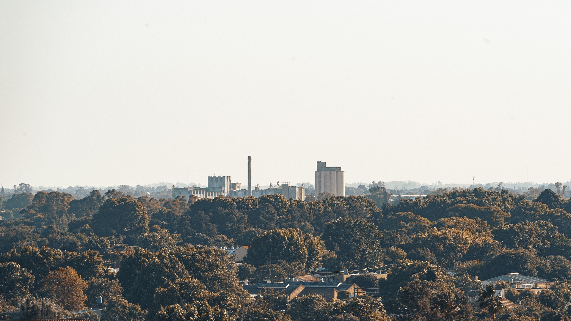 Cooling Neighborhoods Across America with Canopy Coverage