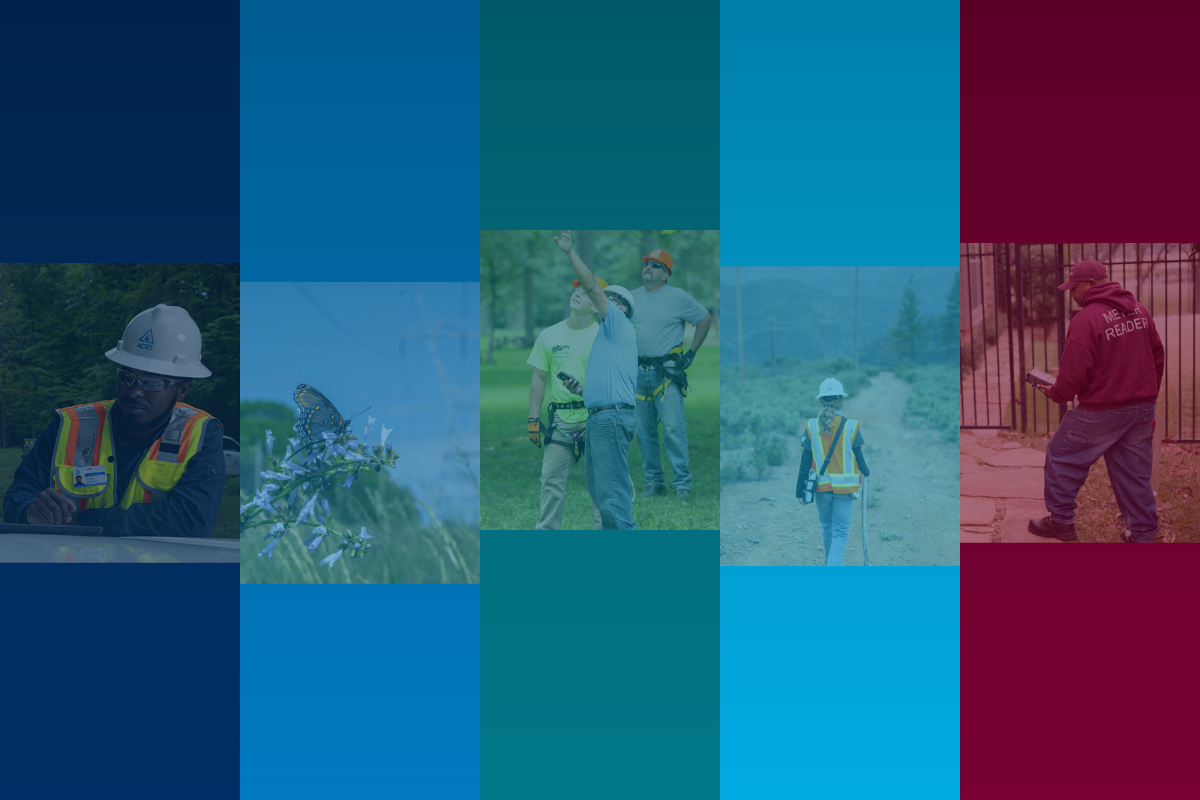 an image of people working across the ACRT Services family of companies