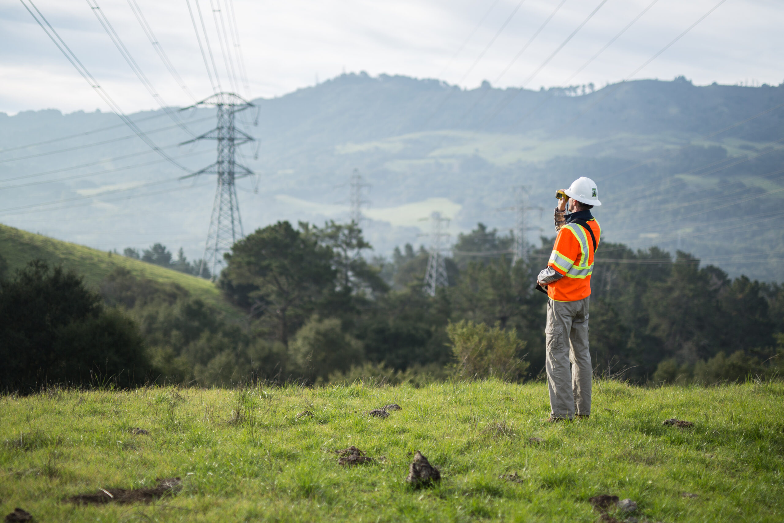 Find the Right Fit: The ACRT Services Guide to Utility Vegetation Management Careers